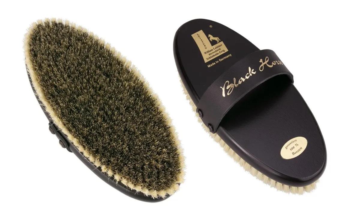 Black (for darker coats) Horse Brush | Leistner