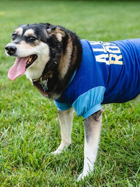 Customizable Dog T-Shirts: Your Pup To A "Tee"